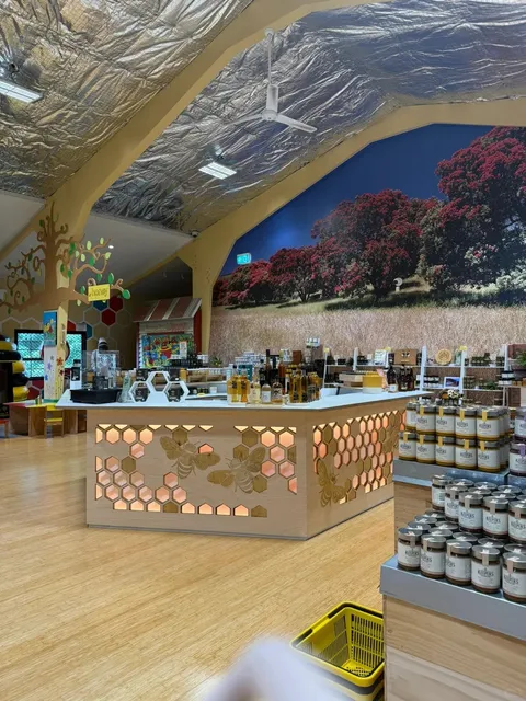 🇳🇿 Taupō 6-Hour Itinerary (CAR-FREE Walking Edition!) 🚶‍♀️✨