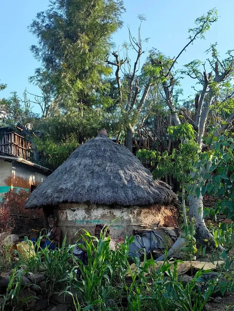 A Relaxing Day in Awassa: Monkeys, Hyenas & Lakeside Serenity