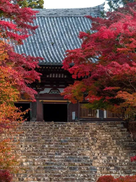 🍁 Kyoto