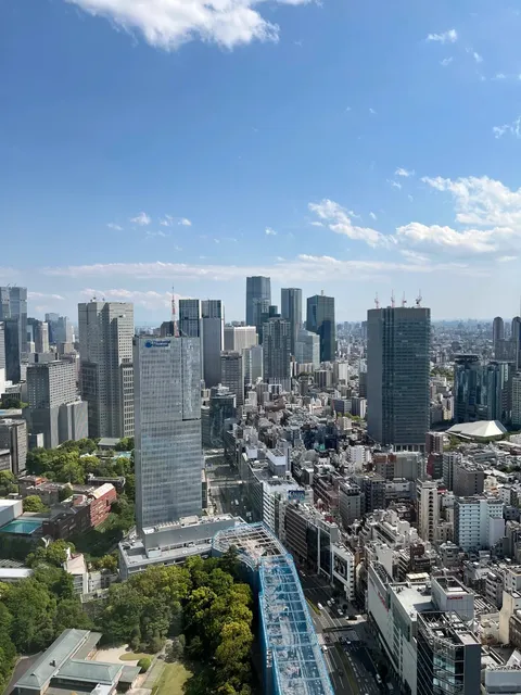 The Prince Gallery Tokyo Kioicho, a Luxury Collection Hotel 🌆