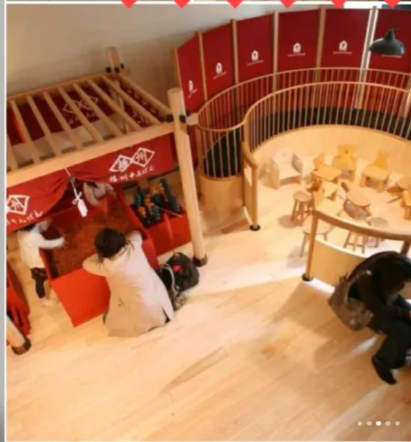 Tokyo Indoor Family Fun Spots(2)