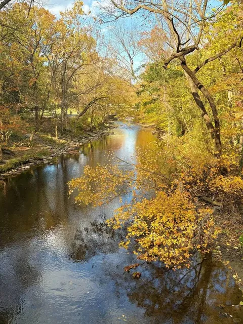 Rock Creek Park | Hiking Through Washington's Urban Green Lung 🌳