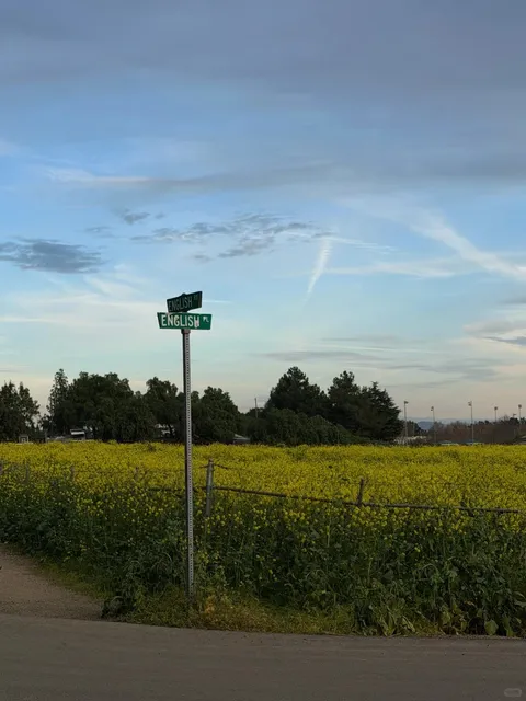 Spring Hike 🍃｜Los Angeles Altay — That Matcha Mountain!