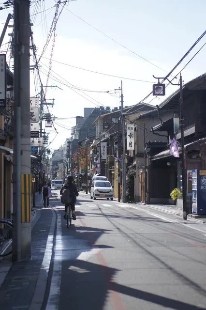 Japan Five-Day Tour 🌸🍃