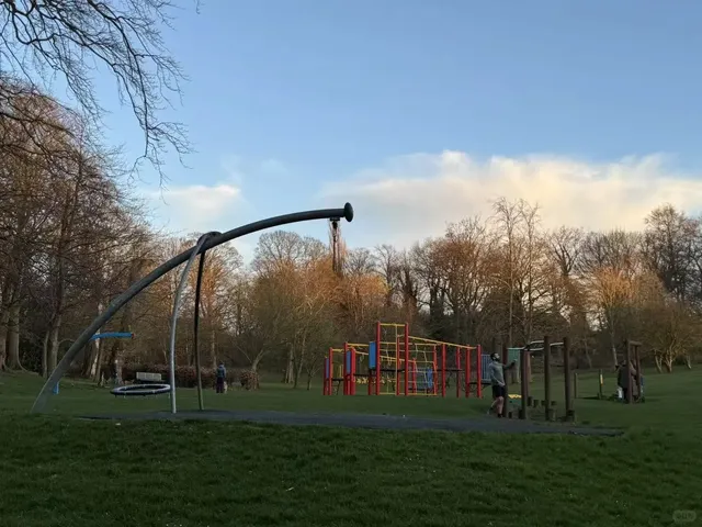 🇬🇧 Newcastle’s Hidden Gem: FREE Forest Walk + Alpaca Park! 🌿🦙