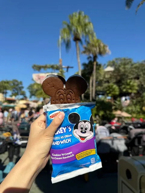 Orlando Disney MK Rides & Food Share 😋