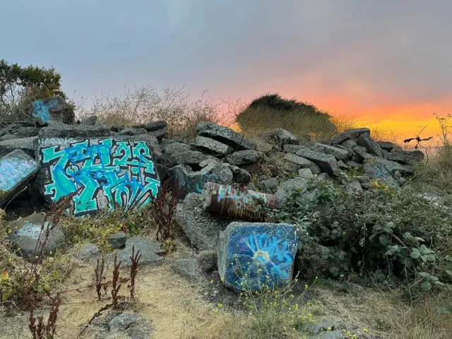 Bay Area Sunset | Albany Bulb, Berkeley 🌉🌅