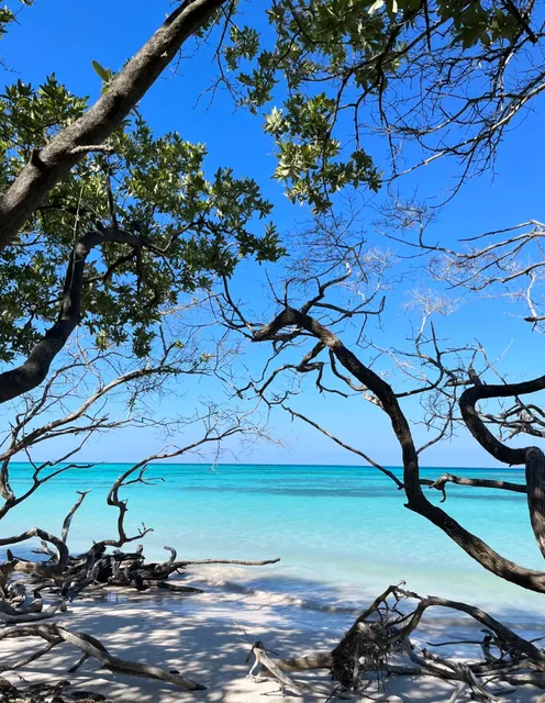 🌴 Cayo Jutía – Cuba’s Hidden Caribbean Gem