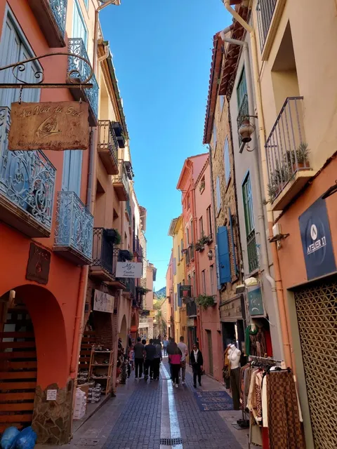 🇫🇷 South of France | Perpignan: Homeland of Muscat Wine 🍇✨