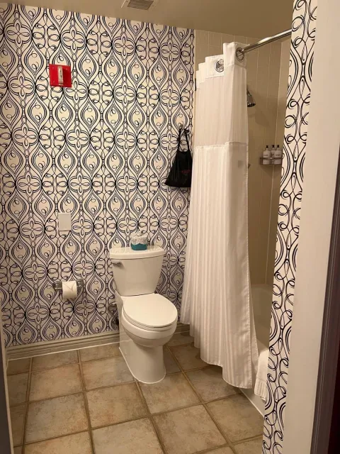 🏙️ A Luxurious Stay with a Few Considerations