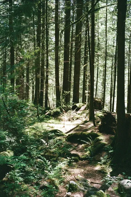 🇨🇦 Explore Vancouver in 2 Days!