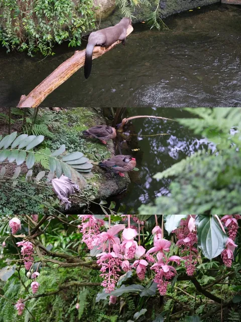 🇩🇪 Ding ding～! Your Ultimate Guide to Leipzig Zoo is Here! 🐾