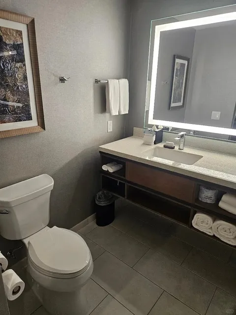 The Only Hotel I Recommend in Grand Rapids! 🏨