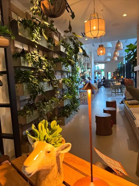 I Officially Declare This the Most Chill Brunch Spot in the Bay Area! 