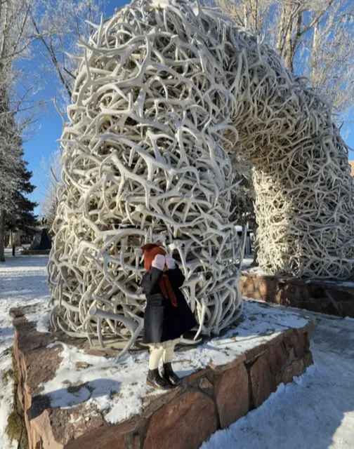 The Antler Arches - Iconic Structures in Jackson