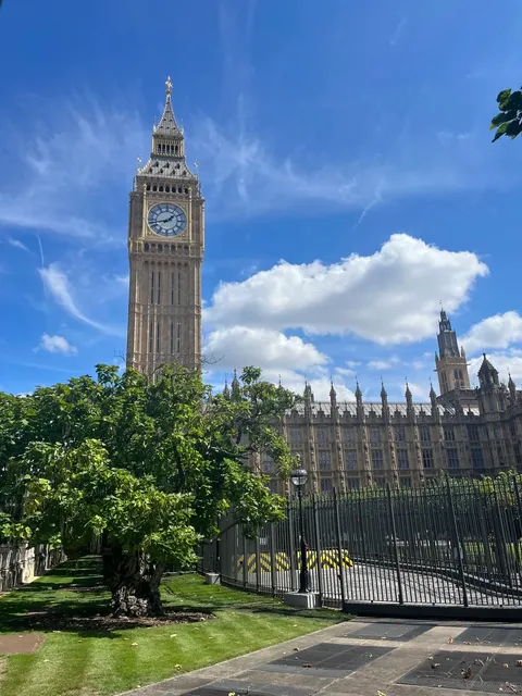 London's Perfect Day & The Glorious Struggle！🌞😅