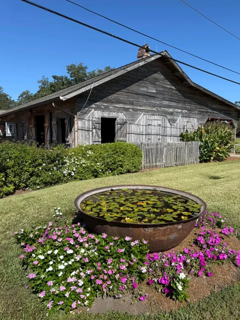 New Orleans – You’ve Truly Surprised Me! 😍🎭