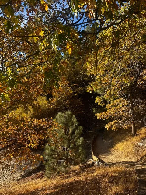 LA's Autumn is Perfect for a Trip to Arrowhead Lake 🍂