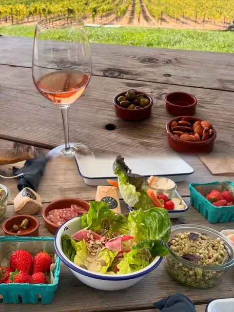 Sonoma's Hidden Gem Winery | French-Style Vineyard with Dreamy Views