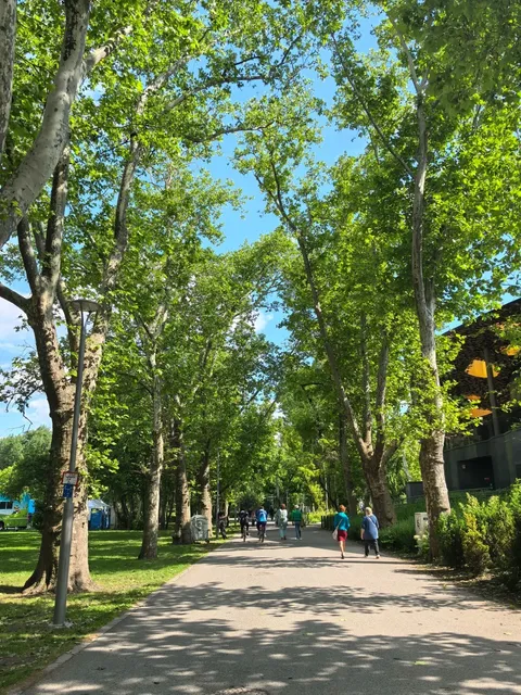 🇭🇺 The Blissful Vibes of Budapest’s City Park 🌳☀️