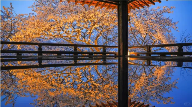 Lesser-Known Cherry Blossom Spots 🌸  (2)