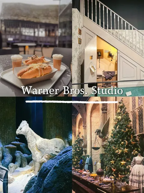 💫 Wizard Experience Card | London Harry Potter Studio Tour 🧙🏻