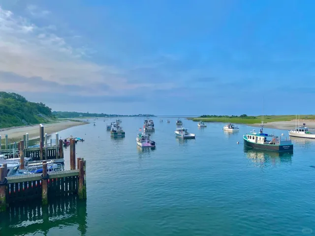Boston Area | Watch Fishing Boats Return to Harbor—With Seals! 