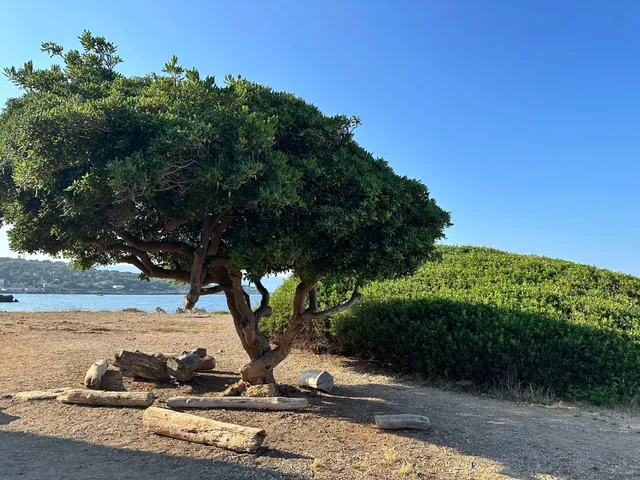 🇫🇷 Day 1: Hiking Antibes in 33°C Heat!
