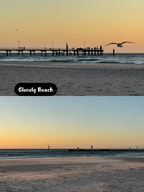 🇦🇺 Adelaide Road Trip Guide