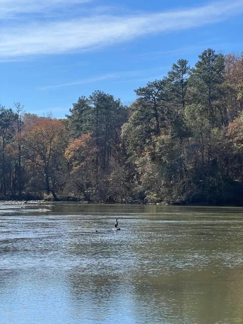 ATL Weekend Getaway Spots Collection (1) 🌲🚶‍♂️