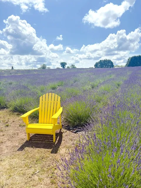 ​​Toronto Lavender Farm | Finally Tried Lavender Ice Cream! 💜🍦​​