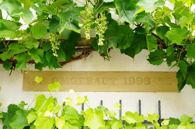 🇩🇪 The Most Charming Town Near Stuttgart – Marbach!