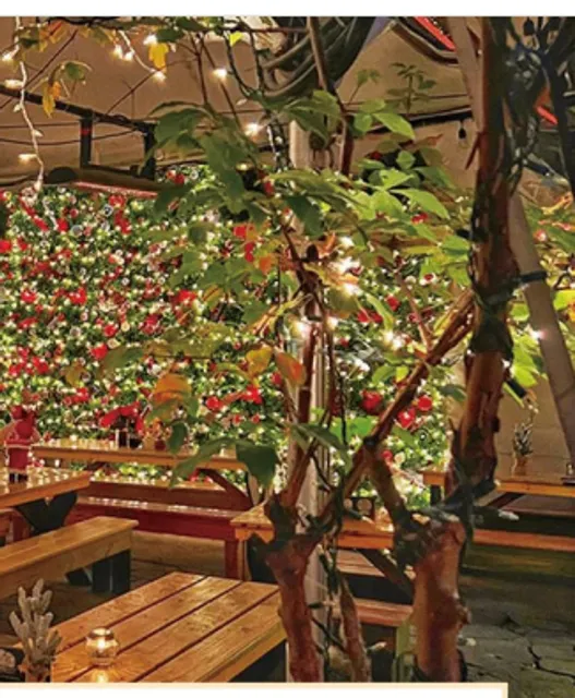 🎄 Loreley Beer Garden 🌟