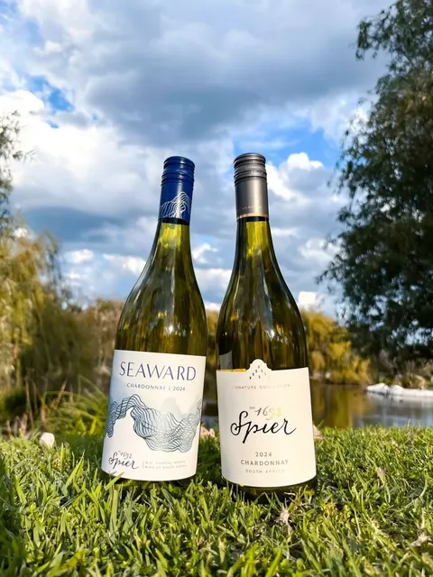 Love this Cape Town winery at first sight