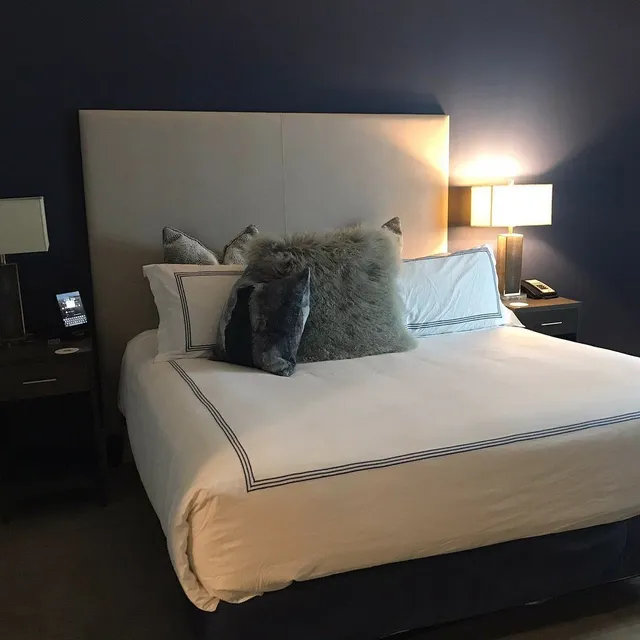 Mimosa & MacBook Celebration 🥂💻