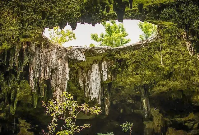 🌀🕳️ Cancún Cenotes Guide: Choose Your Underwater Adventure! 🤿