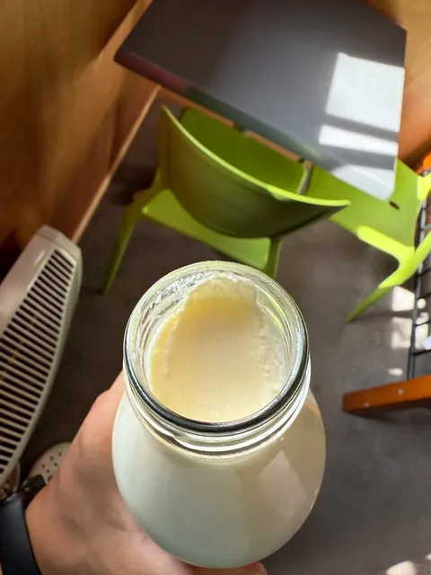 🇳🇿 The BEST Milk in NZ – Are You Drinking It Right? 😆