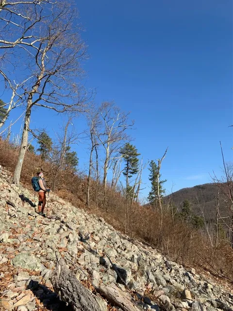 Sleeping in the Embrace of the Appalachian Mountains 🏕️⛰️