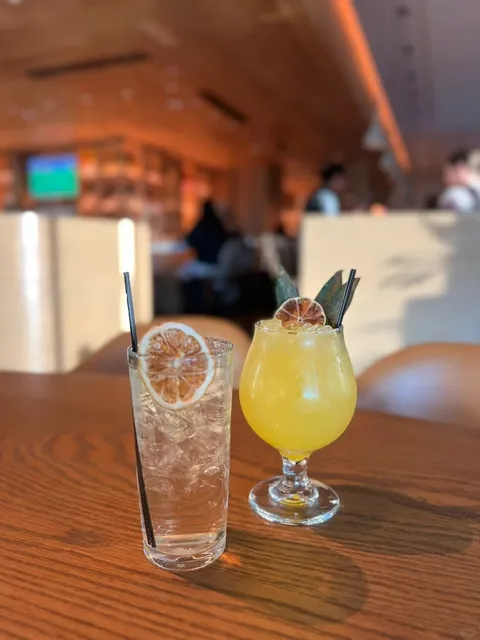 Salt Lake City Food｜Urban Hill 🍽️✨