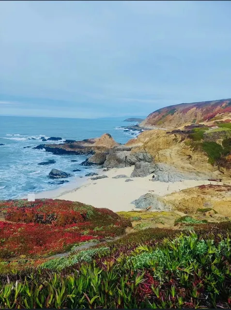 California's Highway 1: Finding Solitude on the Sonoma Coast
