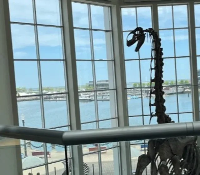  The Children's Museum of Cleveland