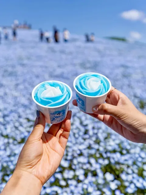 Don't Miss the Phlox Flowers in April Around Tokyo! 🌟