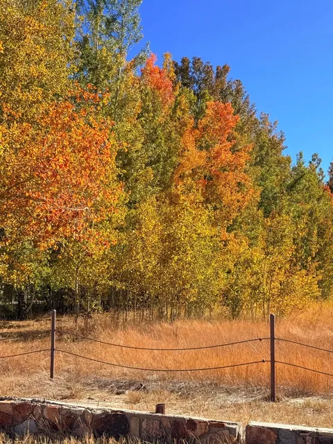 🍁 Big Bear Lake | The Ultimate Fall Getaway Near LA