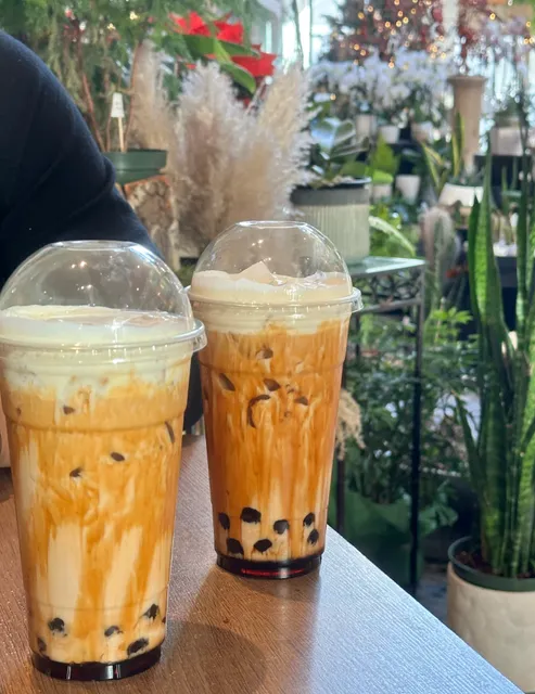 ​​Victoria Ramen Guide 🍜 | 3 Bowls, 3 Vibes​​