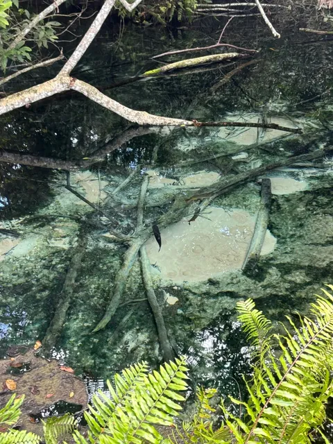 Bonito Snorkeling 🤿 Ultimate Guide