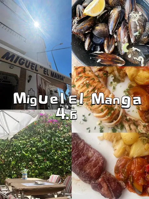 【Málaga Travel Guide】3 Days Exploring Spain's Sunny Coast! ☀️🇪🇸