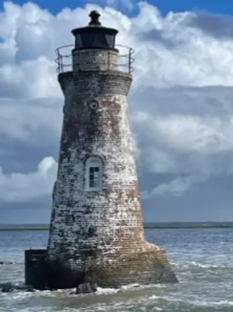 🐬 Captain Derek's Dolphin Adventure | Savannah's Waterside Magic