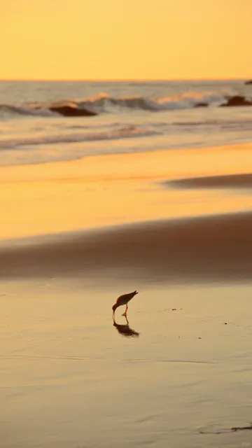 Laguna Beach, CA | L.A.'s Stunning Coastal Gem 🌊