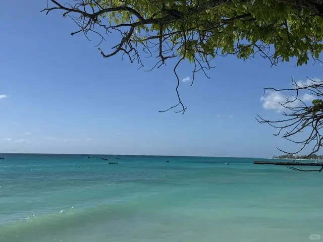 🌋 Dominica's Boiling Lake: Nature's Breathtaking Cauldron!