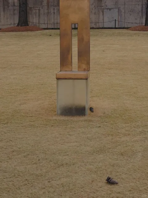 Oklahoma City, Oklahoma 🏙️🌿